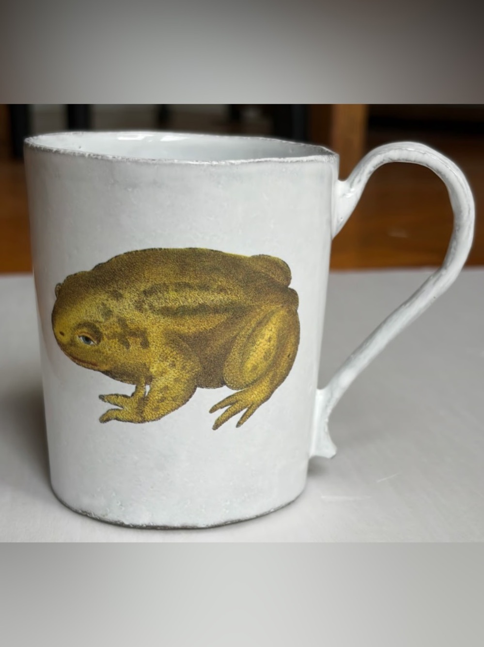 White Reptile Mug with Olive-Green Frog Illustration